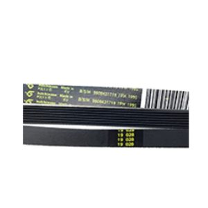 Cinghia H7 1995 Poly-v Originale Asciugatrice Bosch – BSH00650499