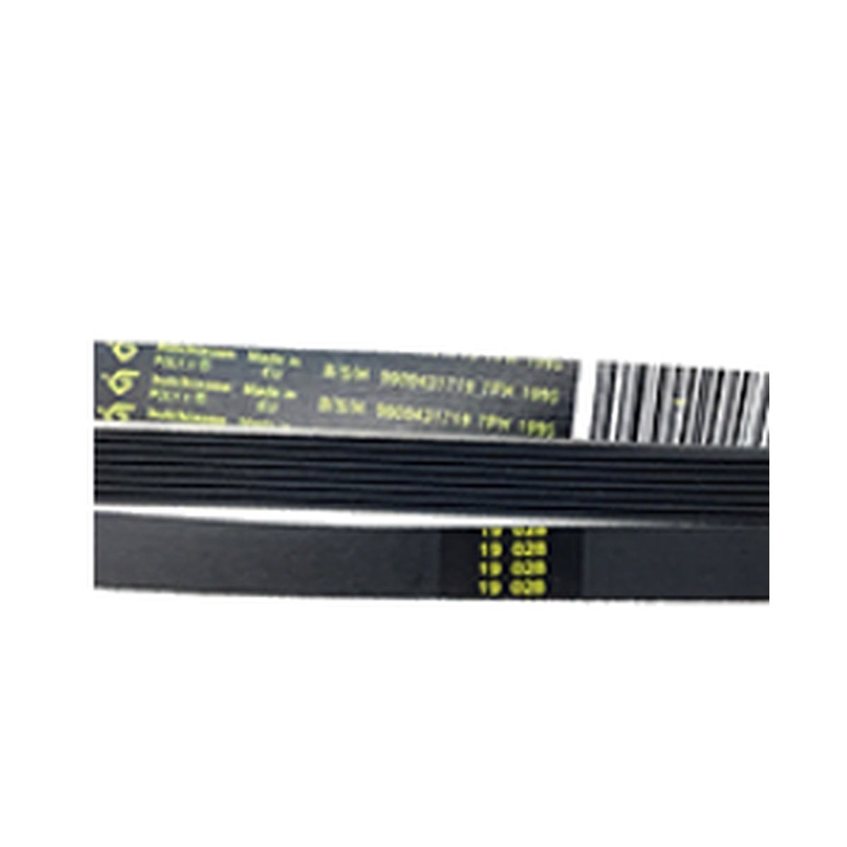 Cinghia H7 1995 Poly-v Originale Asciugatrice Bosch – BSH00650499