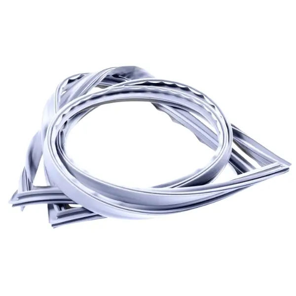 Guarnizione frigo Ariston 488000304440