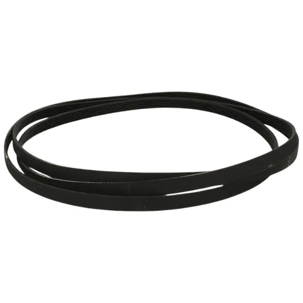 cinghia asciugatrice rex 1258288222-1975mm