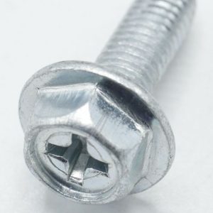 HK1554004 Vite autofilettante con flangia speciale Hisense