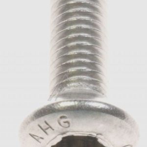 37000513 Vite a testa svasata M6x22 Torx inox Akai