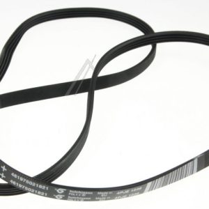 00743658 Cinghia di trasmissione 4PJE1236 Whirlpool