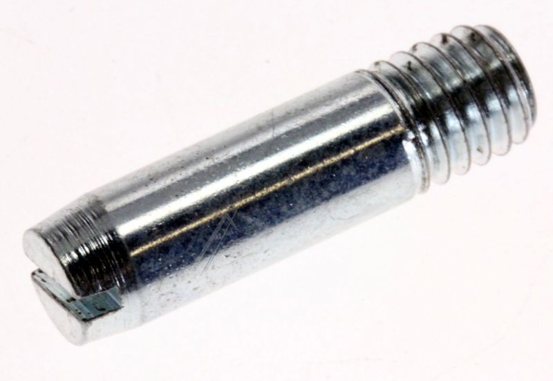 C00172138 482000030062 Perno cerniera inferiore Ariston