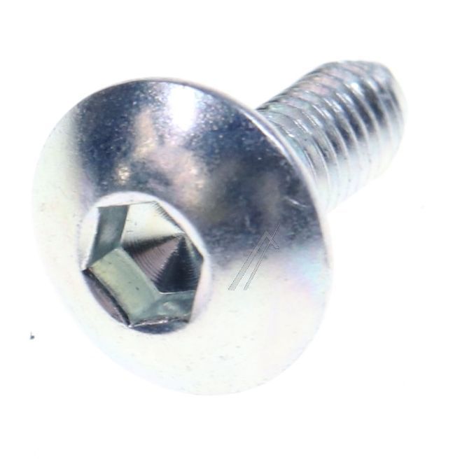0060600429A 49073477 Vite cerniera centrale grande Haier