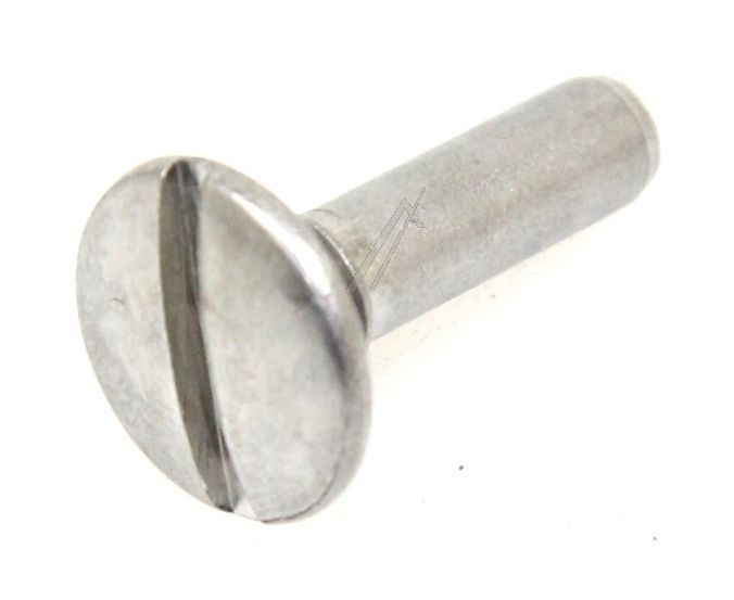 292489200 Vite cerniera Electrolux