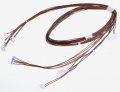 868020 Cablaggio porta interna DW30 Hisense