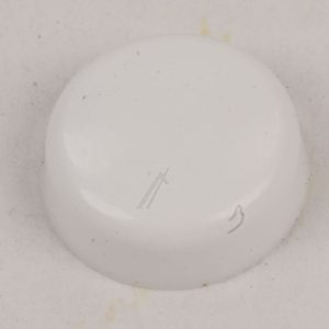 768452252 Tappo cerniera Smeg