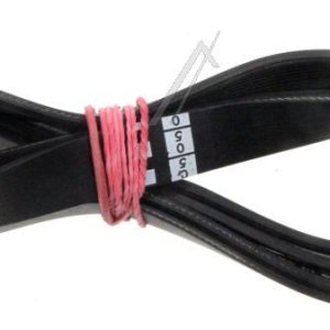 1204H8 Cinghia Poly-V elastica Ignis
