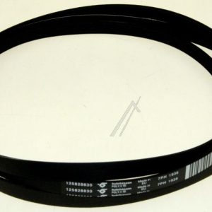 1936H7 1258288305 Cinghia Poly-V H 1936 H7 Rexelectrolux