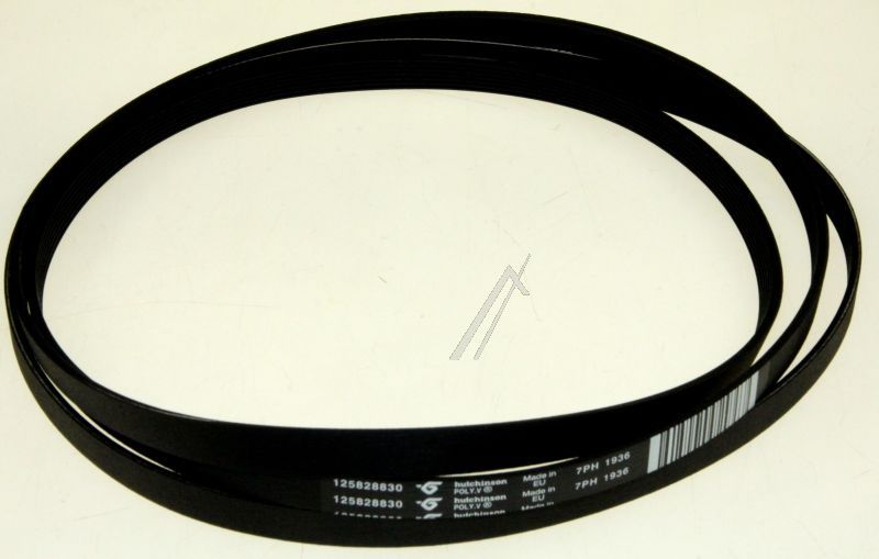 1936H7 1258288305 Cinghia Poly-V H 1936 H7 Rexelectrolux