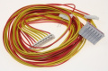 1325224028 Cablaggio motore e scheda elettronica Rexelectrolux