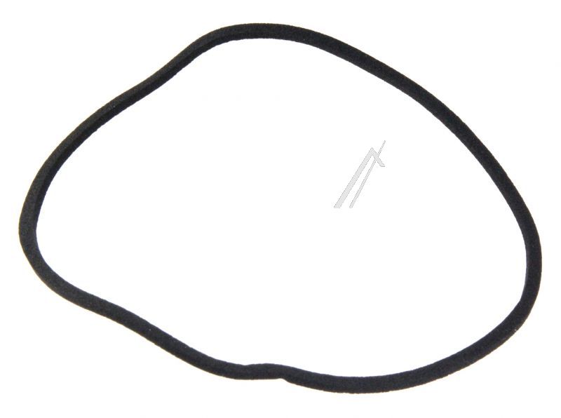 1524299003 Guarnizione esterna filtro Rex