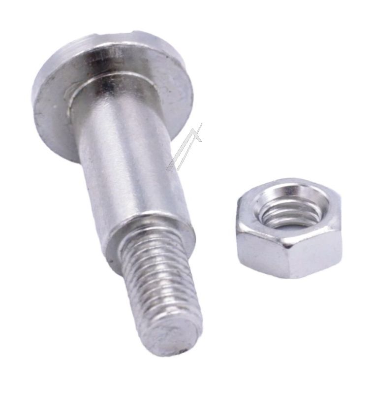 10009830 Vite Bosch
