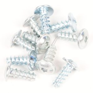 4055519716 Vite porta 5x14mm T20, 10 pz Electrolux