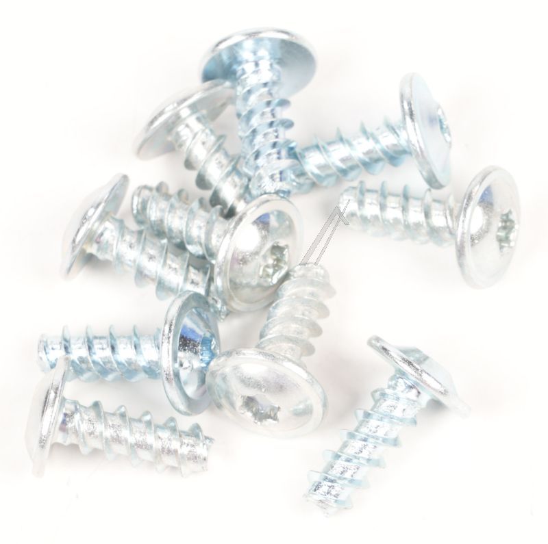 4055519716 Vite porta 5x14mm T20, 10 pz Electrolux