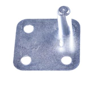 4317440100 C00875930 Cerniera porta destra Beko