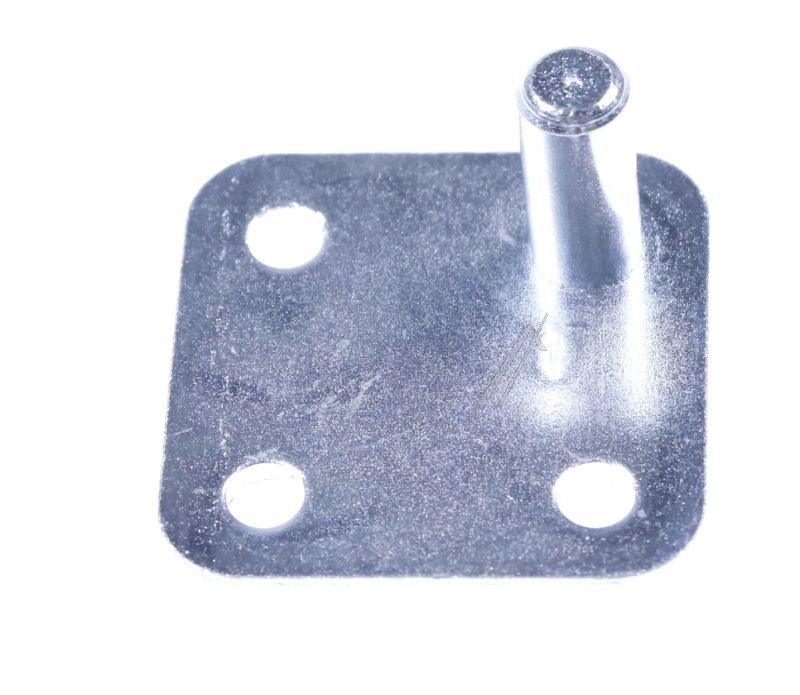 4317440100 C00875930 Cerniera porta destra Beko