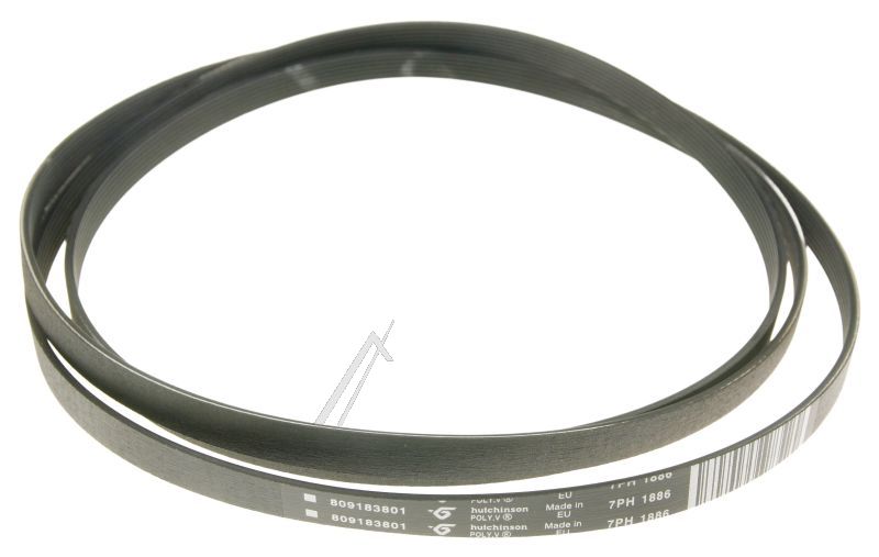 1886H7 8091838014 Cinghia L=1886,7 mm Electrolux