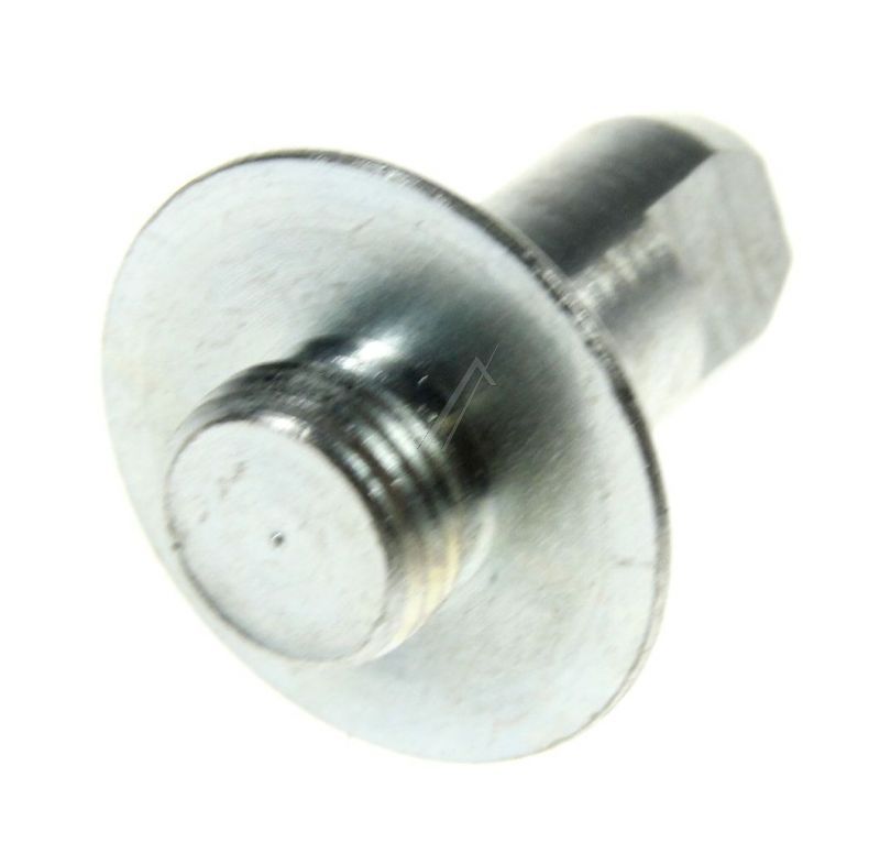 4877550100 C00871312 Perno di cerniera centrale (G84600) Beko