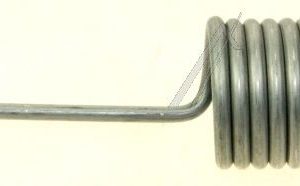 C00142198 482000029616 Molla vasca Aqual Hotpointariston
