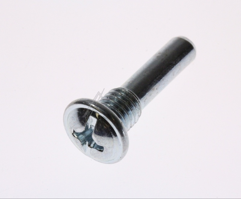 C00313804 481253598112 Perno cerniera Whirlpool