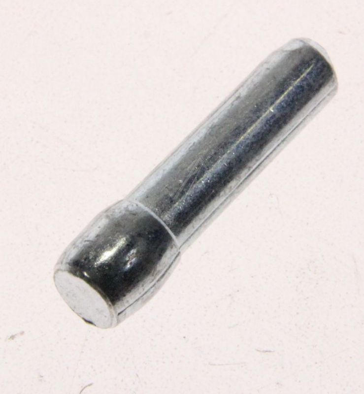 C00317184 481253598111 Perno cerniera Whirlpool