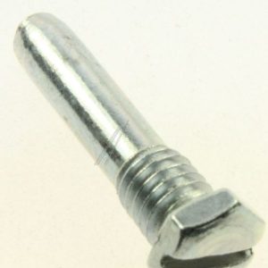 C00333199 481950018151 Perno cerniera Whirlpool