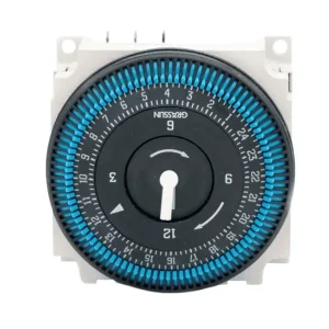 temporizzatore 12/24h a cavalieri, 220v. fm