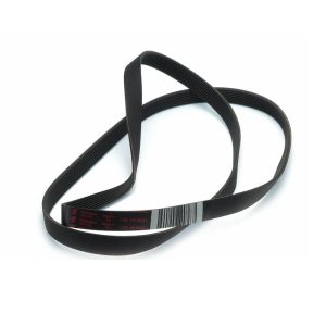 cinghia elastica per lavatrice indesit c00066521