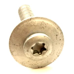 C00666217 488000666217 Vite contrappeso Whirlpool