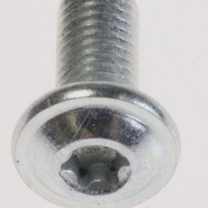 1325079133 Vite 4,9×15 TTL Torx Aeg