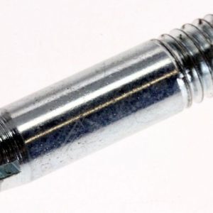 C00172138 482000030062 Perno cerniera inferiore Ariston