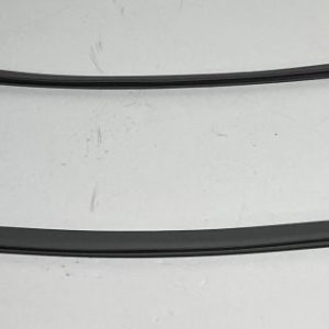 0060829116D 49055671 Guarnizione porta congelatore superiore Haier