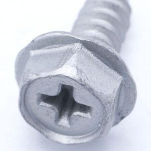 5190930023 Vite cerniera oblò 4.8×11 PH Electrolux