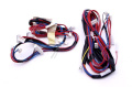 4055347415 Cablaggio porta pompa Rexelectrolux