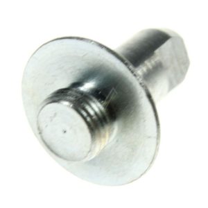 4877550100 C00871312 Perno di cerniera centrale (G84600) Beko