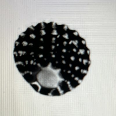 COPRIPIASTRA E COPRISPARTIFIAMMA A8033 40Mm UNIVERSALE