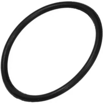 O-RING LAVASTOVIGLIE BEKO 1766470100