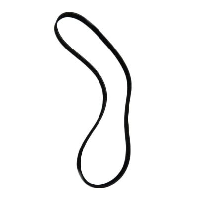 cinghia per lavatrice san giorgio