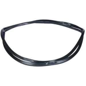 guarnizione porta forno ariston c00379647