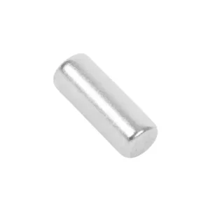 magnete frigo rex 2240076022