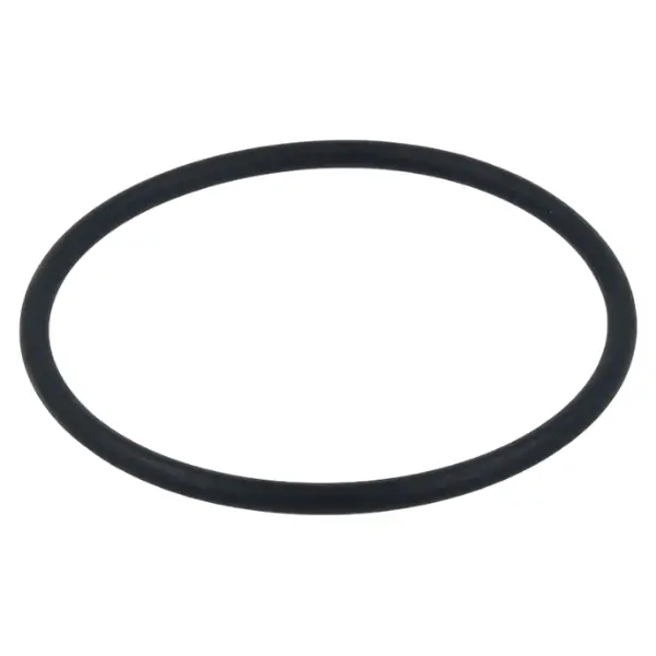 o-ring lavastoviglie whirlpool 481072651921