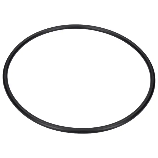 oring pozzetto lavastoviglie rex 1119186003