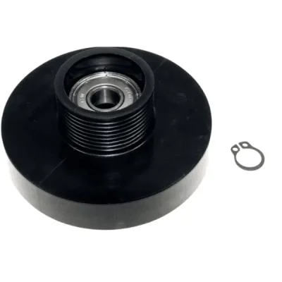 rullo tendicinghia asciugatrice bosch 00600436