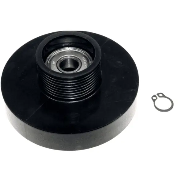 rullo tendicinghia asciugatrice bosch 00600436