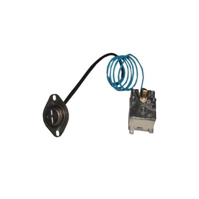 termostato per lavatrice ignis 481928248313