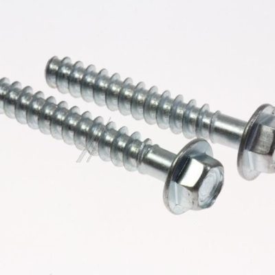 vite per lavatrice ignis c00309518